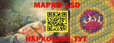 индика Краснознаменск
