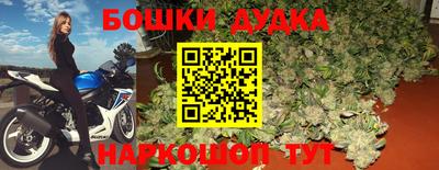 индика Краснознаменск