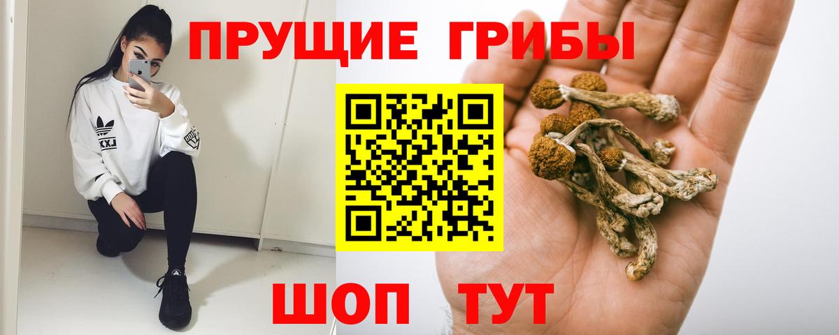 Янаул  Псилоцибиновые грибы Cubensis  Вход с VPN  Галлюциногенные грибы Magic Shrooms 